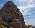 photo thumbnail #15