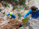 photo thumbnail #7