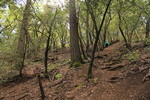 photo thumbnail #1