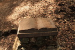 photo thumbnail #2
