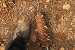 photo thumbnail #13
