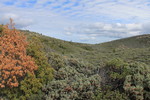 photo thumbnail #14