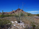 photo thumbnail #4