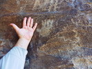 photo thumbnail #14