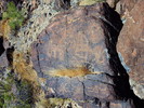 photo thumbnail #15