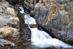 photo thumbnail #14