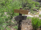 photo thumbnail #12