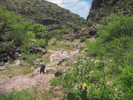 2014-04-27 :1: Whetrock Canyon Loop :: Oregon_Hiker