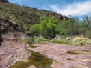 2014-04-27 :1: Whetrock Canyon Loop :: Oregon_Hiker