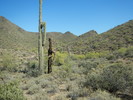 photo thumbnail #3