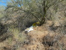 photo thumbnail #4