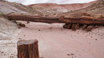 photo thumbnail #10