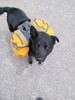 photo thumbnail #4