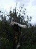 photo thumbnail #9