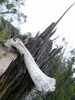 photo thumbnail #10