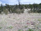 photo thumbnail #11