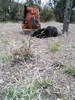 photo thumbnail #13