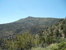 photo thumbnail #6