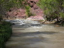photo thumbnail #9