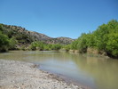 photo thumbnail #10