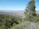 photo thumbnail #14