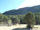 photo thumbnail #15