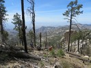 photo thumbnail #1