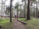 photo thumbnail #7