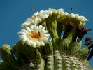 photo thumbnail #3