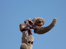 photo thumbnail #10
