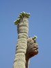 photo thumbnail #11