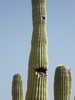 photo thumbnail #9