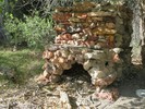 photo thumbnail #4