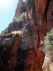 photo thumbnail #7