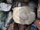 photo thumbnail #12