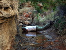 photo thumbnail #13
