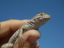 photo thumbnail #2