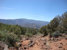 photo thumbnail #4
