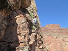 photo thumbnail #5