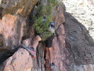 photo thumbnail #12