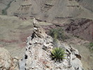 photo thumbnail #13