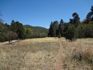 photo thumbnail #7