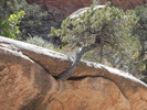 photo thumbnail #5