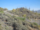 photo thumbnail #4