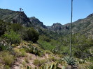 photo thumbnail #8