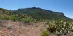 2014-05-03 :1: Rogers - Frog Tank - Reavis Loop :: The_Eagle