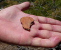 photo thumbnail #15