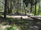 photo thumbnail #8