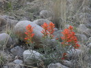 photo thumbnail #14