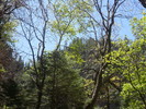 photo thumbnail #15